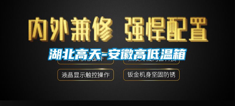 湖北高天-安徽高低溫箱