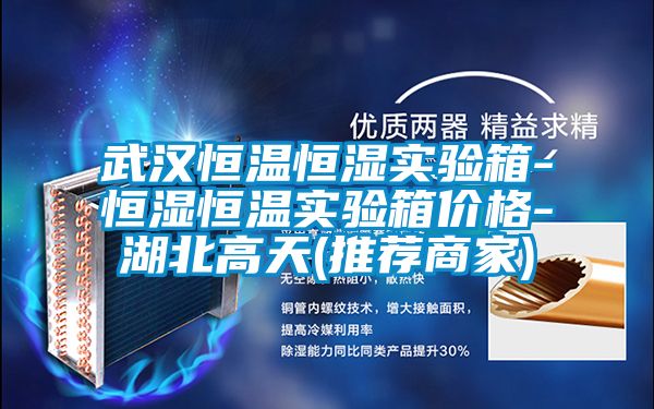 武漢恒溫恒濕實驗箱-恒濕恒溫實驗箱價格-湖北高天(推薦商家)