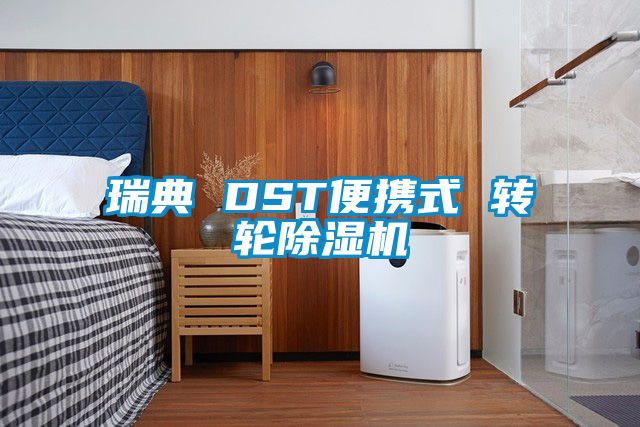 瑞典 DST便攜式 轉輪除濕機