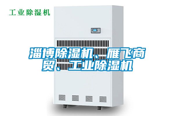 淄博除濕機(jī)、雁飛商貿(mào)、工業(yè)除濕機(jī)