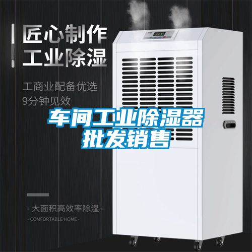 車間工業(yè)除濕器批發(fā)銷售
