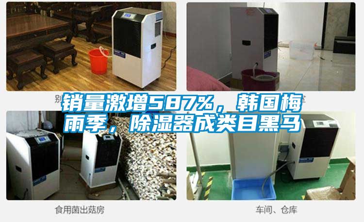 銷量激增587%，韓國梅雨季，除濕器成類目黑馬