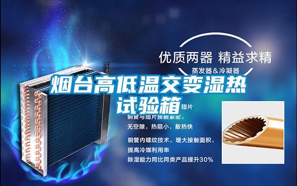 煙臺高低溫交變濕熱試驗箱