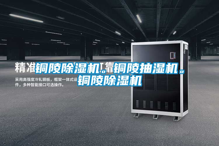 銅陵除濕機。銅陵抽濕機。銅陵除濕機