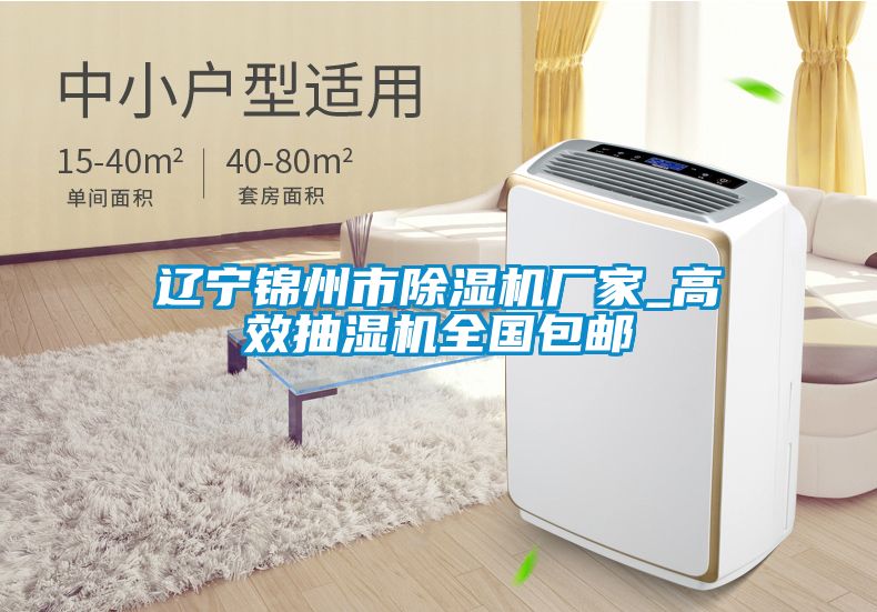 遼寧錦州市除濕機(jī)廠家_高效抽濕機(jī)全國包郵
