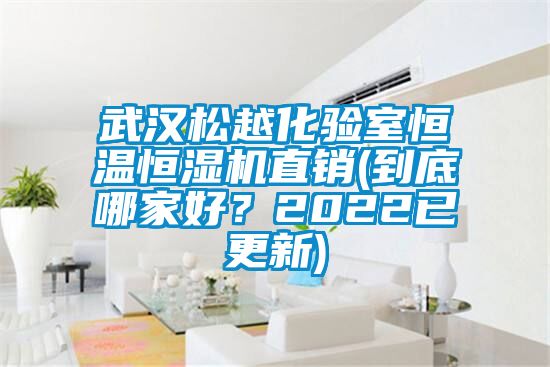 武漢松越化驗室恒溫恒濕機直銷(到底哪家好?2022已更新)
