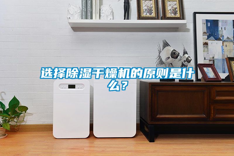 選擇除濕干燥機的原則是什么?