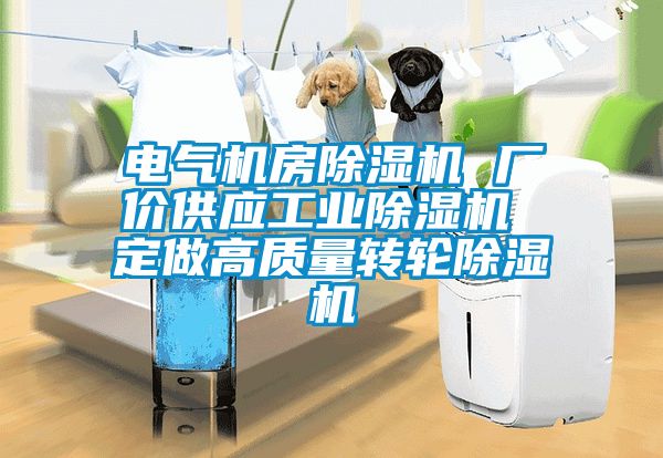電氣機房除濕機 廠價供應工業(yè)除濕機 定做高質量轉輪除濕機