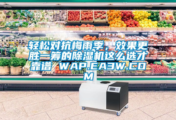 輕松對抗梅雨季，效果更勝一籌的除濕機這么選才靠譜 WAP.EA3W.COM
