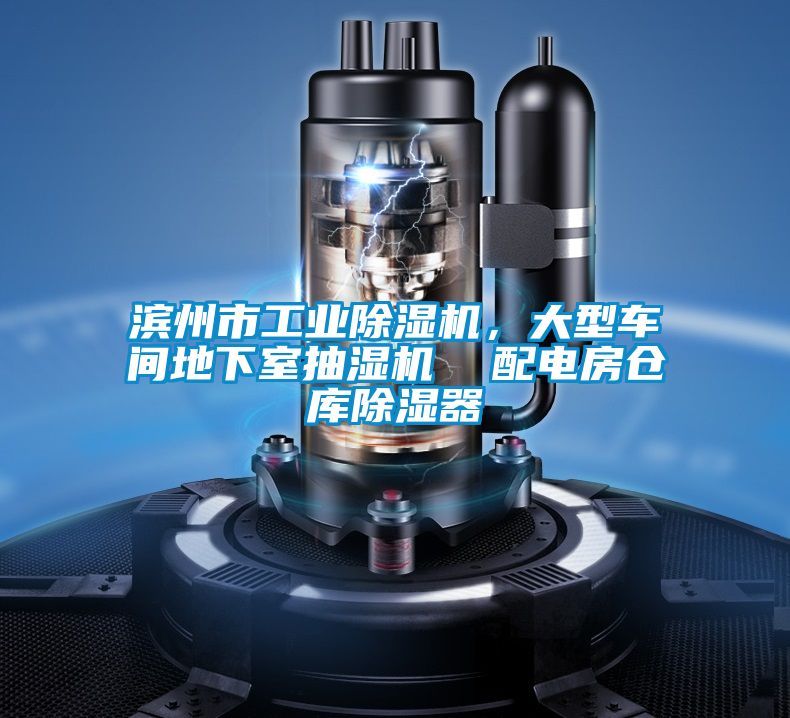 濱州市工業除濕機，大型車間地下室抽濕機  配電房倉庫除濕器