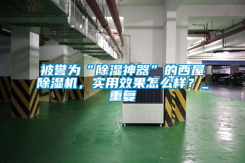 被譽(yù)為“除濕神器”的西屋除濕機(jī)，實(shí)用效果怎么樣？_重復(fù)