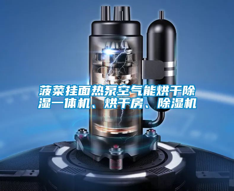 菠菜掛面熱泵空氣能烘干除濕一體機、烘干房、除濕機