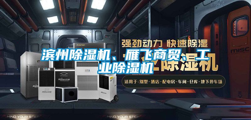 濱州除濕機、雁飛商貿(mào)、工業(yè)除濕機