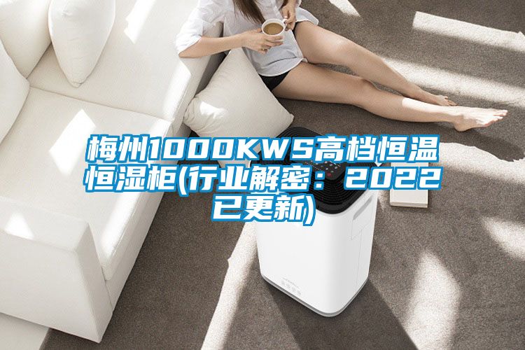 梅州1000KWS高檔恒溫恒濕柜(行業解密：2022已更新)
