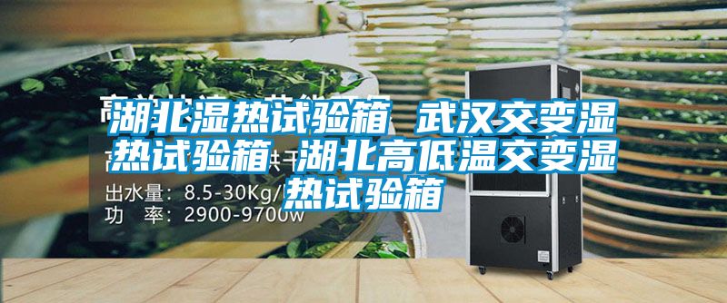 湖北濕熱試驗箱 武漢交變濕熱試驗箱 湖北高低溫交變濕熱試驗箱