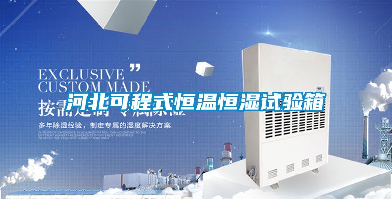 河北可程式恒溫恒濕試驗箱