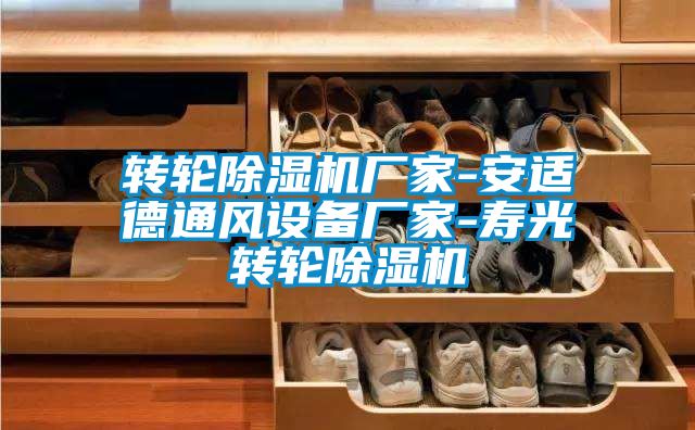 轉輪除濕機廠家-安適德通風設備廠家-壽光轉輪除濕機