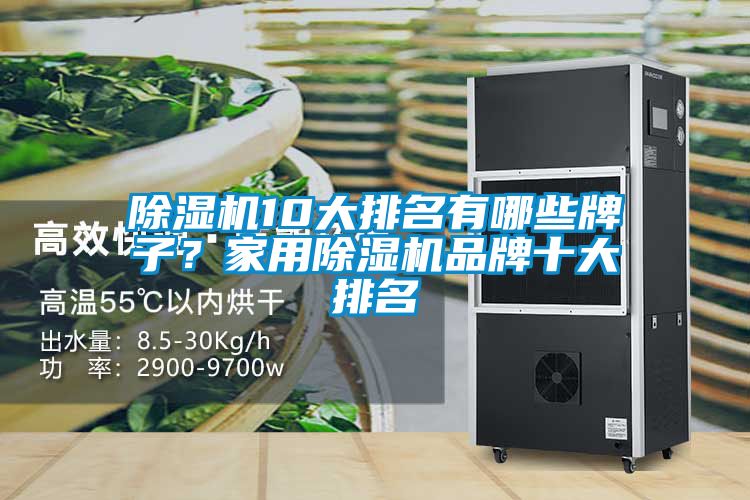 除濕機10大排名有哪些牌子？家用除濕機品牌十大排名