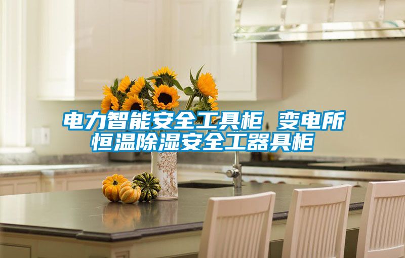 電力智能安全工具柜 變電所恒溫除濕安全工器具柜