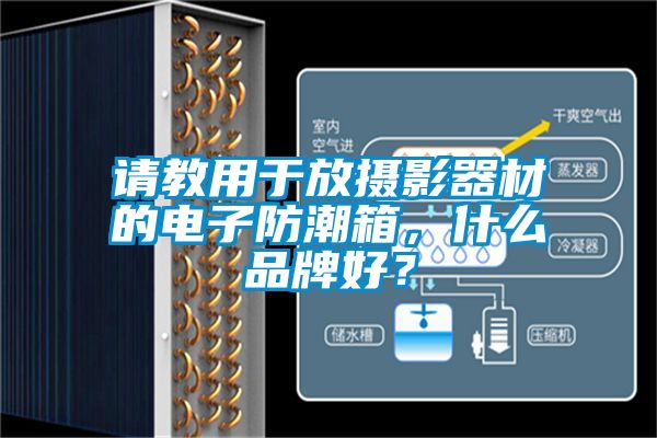 請教用于放攝影器材的電子防潮箱,什么品牌好?