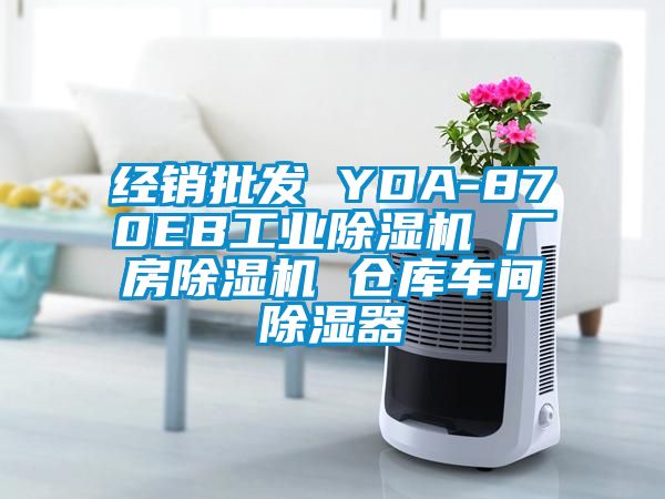 經銷批發 YDA-870EB工業除濕機 廠房除濕機 倉庫車間除濕器