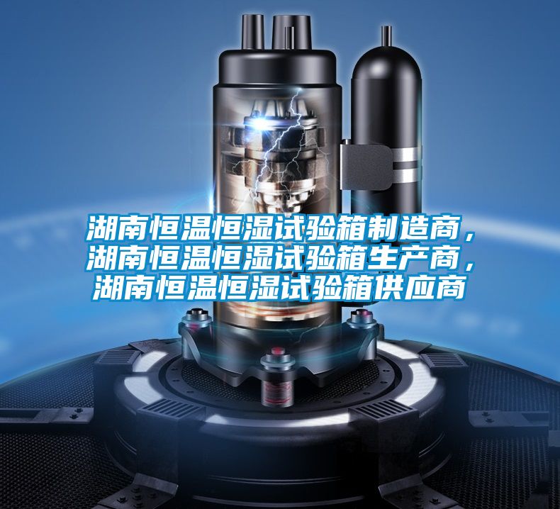 湖南恒溫恒濕試驗箱制造商，湖南恒溫恒濕試驗箱生產商，湖南恒溫恒濕試驗箱供應商