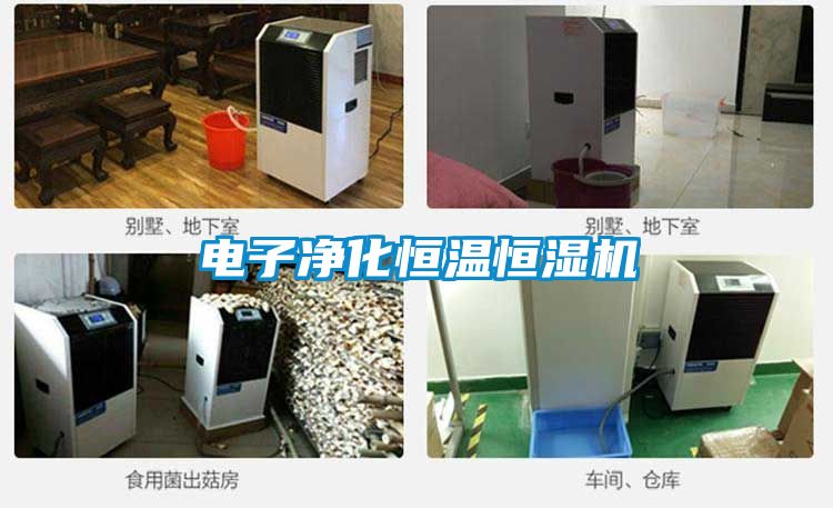 電子凈化恒溫恒濕機