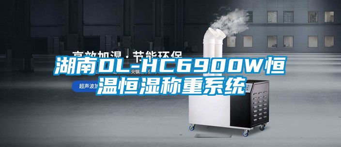 湖南DL-HC6900W恒溫恒濕稱重系統