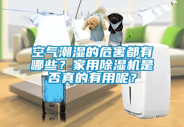 空氣潮濕的危害都有哪些？家用除濕機是否真的有用呢？