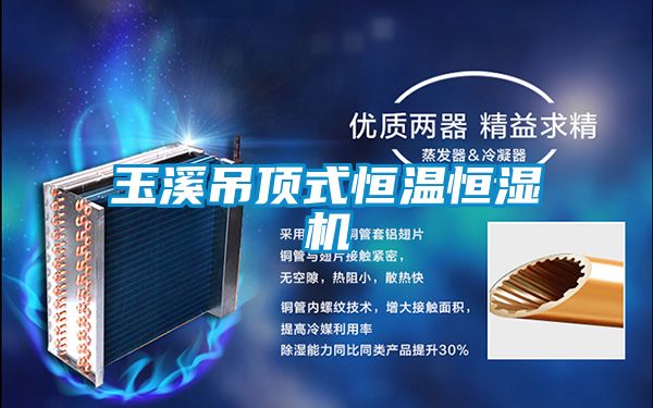 玉溪吊頂式恒溫恒濕機(jī)