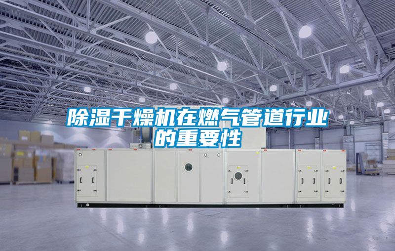 除濕干燥機(jī)在燃?xì)夤艿佬袠I(yè)的重要性