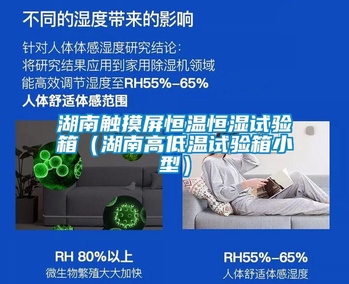 湖南觸摸屏恒溫恒濕試驗箱（湖南高低溫試驗箱小型）