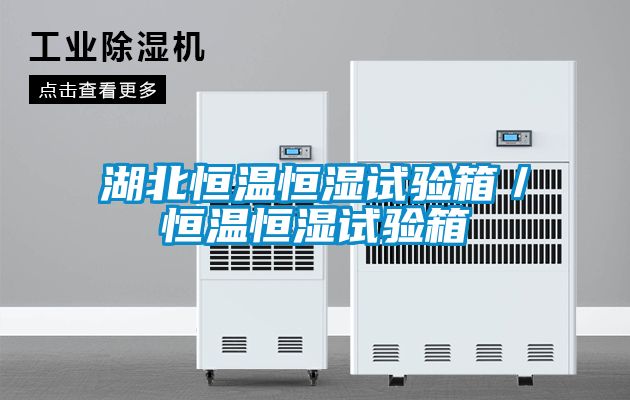 湖北恒溫恒濕試驗箱／恒溫恒濕試驗箱
