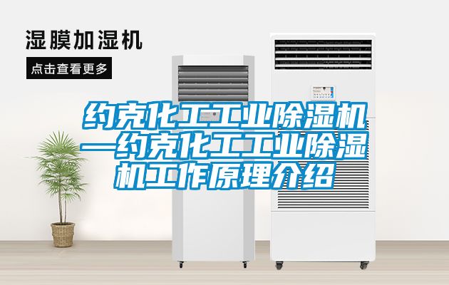 約克化工工業除濕機—約克化工工業除濕機工作原理介紹