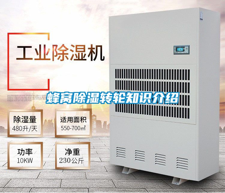 蜂窩除濕轉(zhuǎn)輪知識(shí)介紹