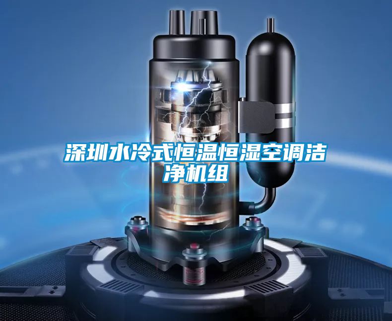 深圳水冷式恒溫恒濕空調潔凈機組