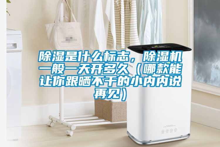 除濕是什么標志,除濕機一般一天開多久(哪款能讓你跟曬不干的小內內說再見)