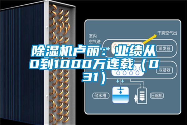 除濕機盧麗：業績從0到1000萬連載（031）