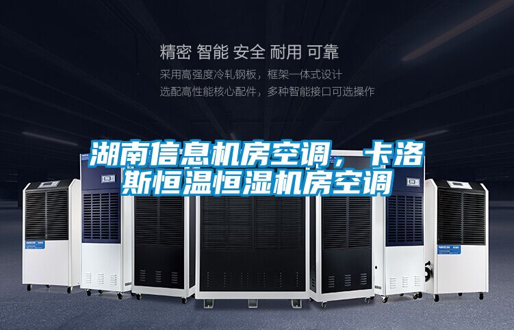 湖南信息機房空調,卡洛斯恒溫恒濕機房空調