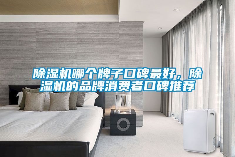 除濕機(jī)哪個(gè)牌子口碑最好，除濕機(jī)的品牌消費(fèi)者口碑推薦