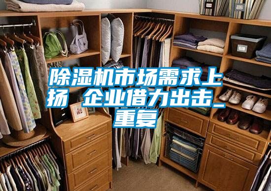 除濕機市場需求上揚 企業借力出擊_重復
