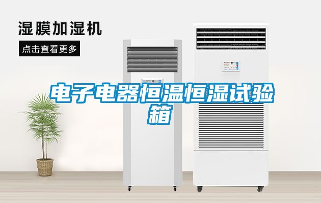 電子電器恒溫恒濕試驗箱