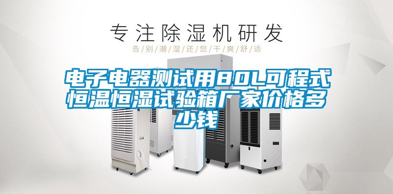 電子電器測試用80L可程式恒溫恒濕試驗(yàn)箱廠家價格多少錢