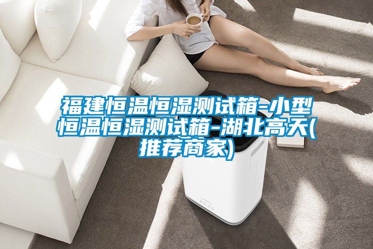 福建恒溫恒濕測試箱-小型恒溫恒濕測試箱-湖北高天(推薦商家)