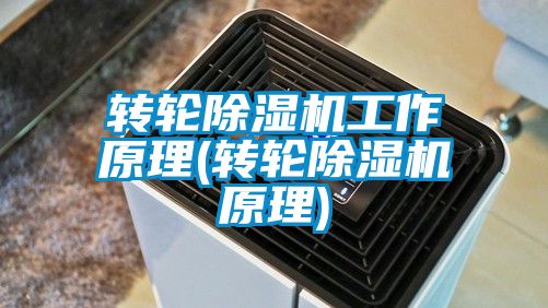 轉輪除濕機工作原理(轉輪除濕機原理)
