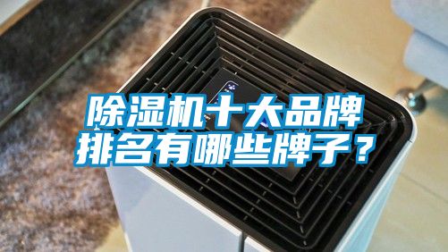 除濕機十大品牌排名有哪些牌子?