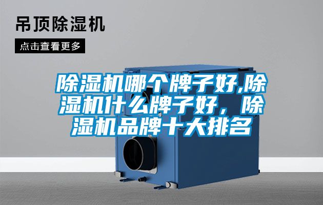 除濕機哪個牌子好,除濕機什么牌子好,除濕機品牌十大排名