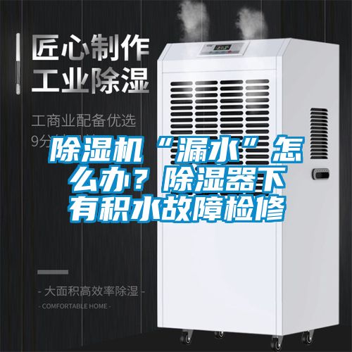 除濕機“漏水”怎么辦？除濕器下有積水故障檢修