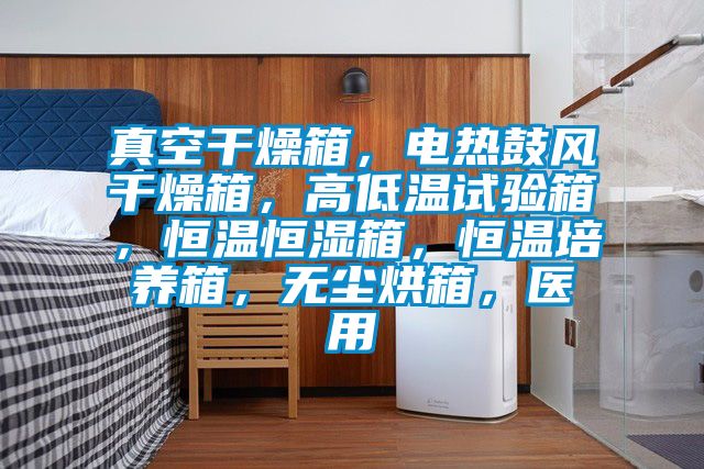 真空干燥箱,電熱鼓風干燥箱,高低溫試驗箱,恒溫恒濕箱,恒溫培養箱,無塵烘箱,醫用