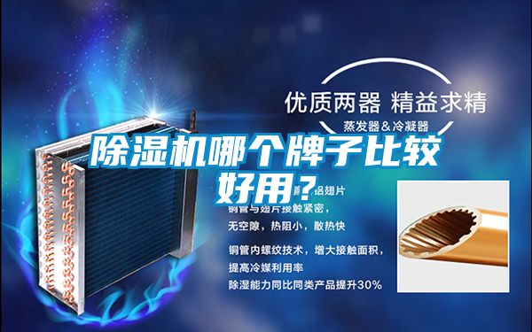 除濕機哪個牌子比較好用?